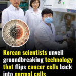 Científicos coreanos desarrollan tecnología revolucionaria que convierte células cancerosas en células normales